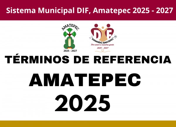 Términos De Referencia SMDIF