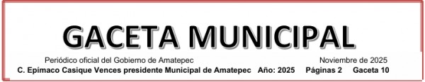 Gaceta Municipal Noviembre