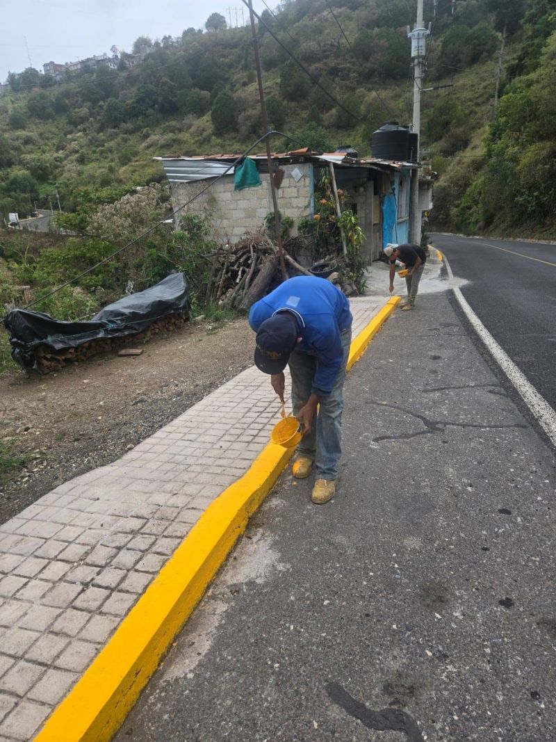 PINTURA EN GUARNICIONES DE BANQUETAS
